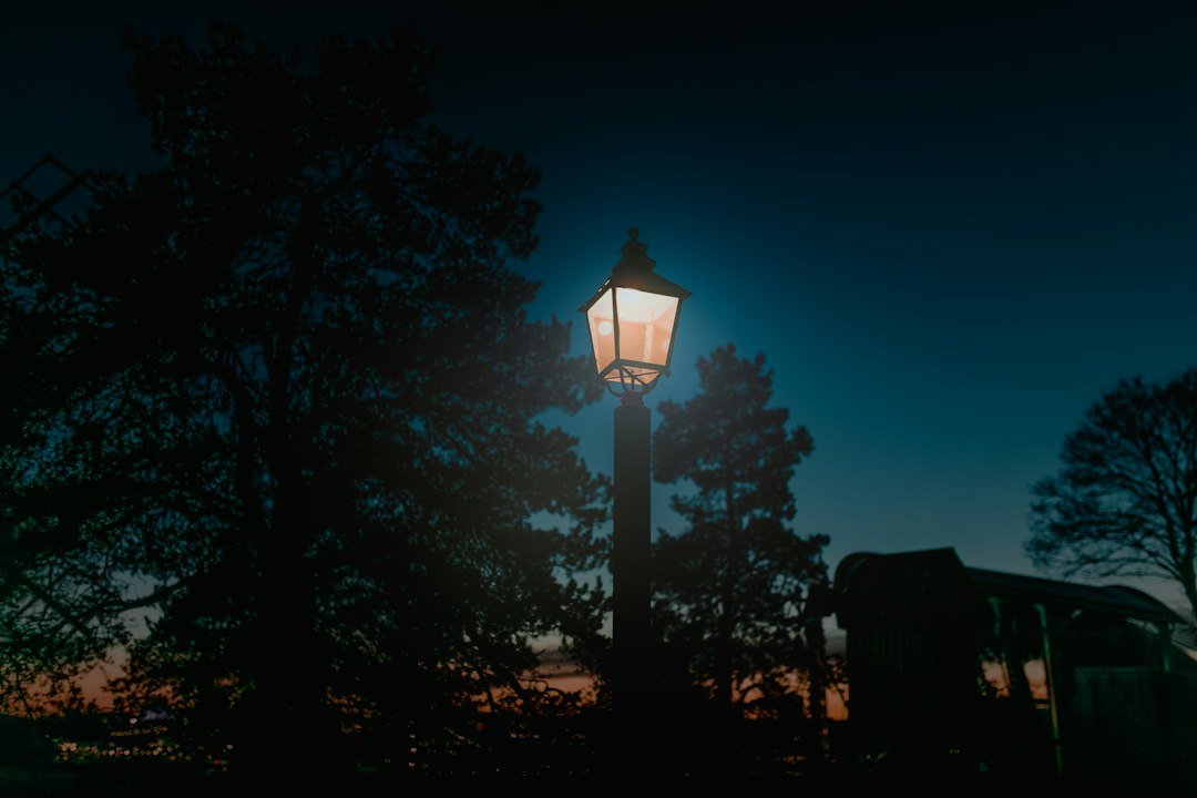 Outdoor pathway lighting at dusk